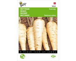 Buzzy® Pastinaak Demi-Long De Guernsey