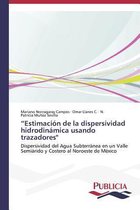 "Estimación de la dispersividad hidrodinámica usando trazadores"