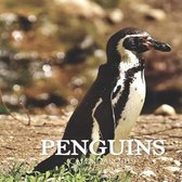 Penguins Calendar 2019