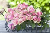 Tuinposter - Roze roosjes