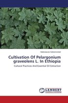 Cultivation of Pelargonium Graveolens L. in Ethiopia