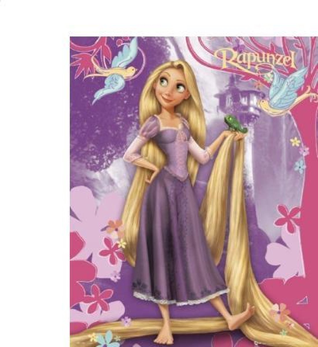 Rapunzel maxi poster