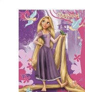 Rapunzel maxi poster