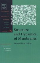Structure and Dynamics of Membranes