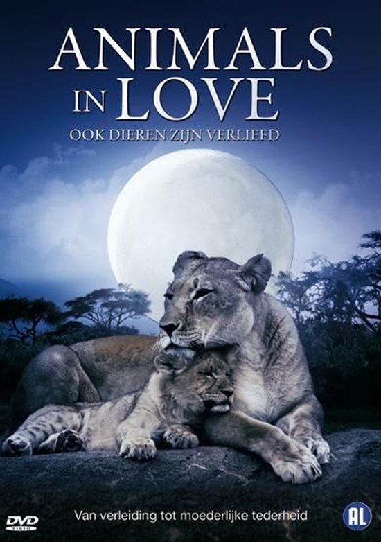 Cover van de film 'Animals In Love'