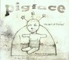 Preaching To The Perverted: The Best Of Pigface