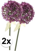 2 x Roze/rode sierui steelbloem 70 cm - Kunstbloemen