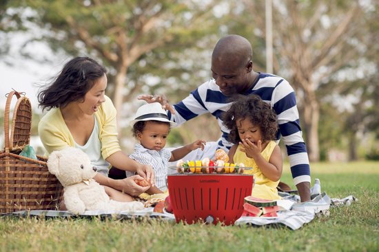 Familie met kinderen geniet van een picknick met een rode LotusGrill.