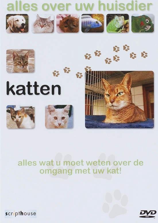 Cover van de film 'Katten - Alles Over Uw Huisdier'