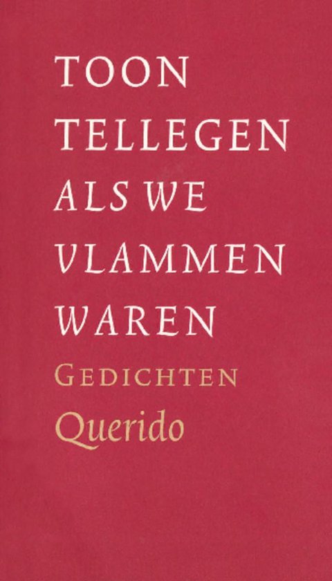 Als we vlammen waren - cover