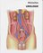 Miniatlas Urologie