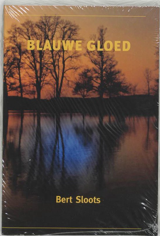 Cover van het boek 'Blauwe gloed' van Bert Sloots