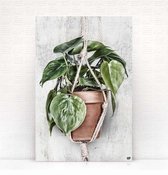HIP ORGNL Schilderij Scandy Tall Steen - 60x90cm - wanddecoratie - plant - natuur
