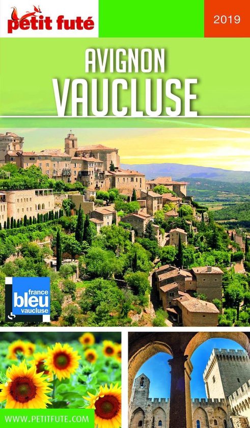 AVIGNON - VAUCLUSE 2019 Petit Futé - cover