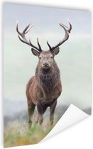 Poster Portrait de cerf élaphe 75x150 cm - Tirage photo sur Poster (décoration murale salon / chambre) / Poster Animaux