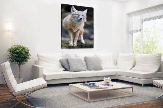 Toile Steppevos 80x120 cm - Tirage photo sur toile (Décoration murale salon / chambre) / Peintures sur toile Animaux