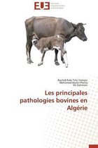 Les Principales Pathologies Bovines En Alg�rie