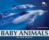 Baby Animals of the Ocean