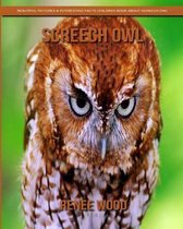 Screech Owl