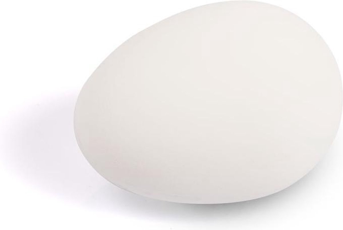 Nep kippen eieren - kunst ei - kalk ei - rubber ei - wit | bol.com