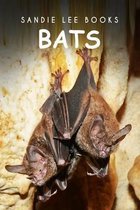 Bats - Sandie Lee Books