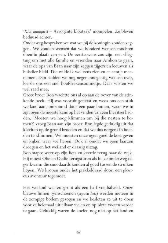 Pagina met tekst over een reis met de trein en familie.