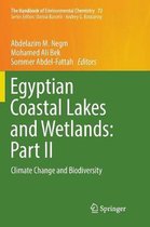 Egyptian Coastal Lakes and Wetlands: Part II