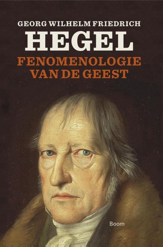 Fenomenologie van de geest - G.W.F. Hegel | Tiliboo-afrobeat.com