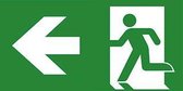 Van Lien Optilux PP 315 pictogram noodverlichting 42331553