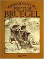 Die Bilderwelt des Pieter Bruegel