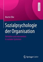 Sozialpsychologie der Organisation
