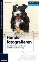 Foto Praxis Hunde fotografieren