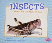 Insects