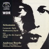 Andreas Boyde - Schumann: Piano Works (CD)