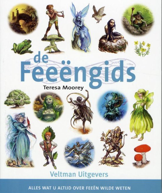 Cover van het boek 'De feeengids'