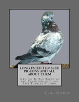 Long Faced Tumbler Pigeons and All about Them