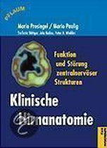 Klinische Hirnanatomie