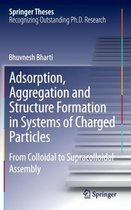 Adsorption, Aggregation and Structure Formation in Systems of Charged Particles