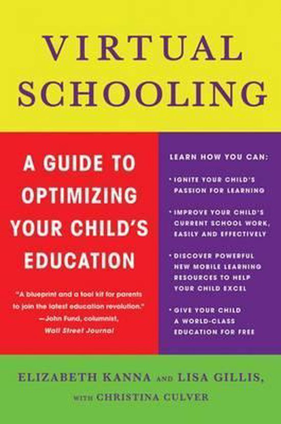 Virtual Schooling - cover