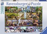 Ravensburger puzzel Aimee Stewart Wild Kingdom Shelves - Legpuzzel - 2000 stukjes