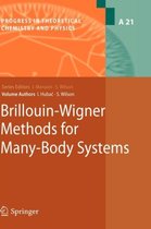 Progress in Theoretical Chemistry and Physics- Brillouin-Wigner Methods for Many-Body Systems