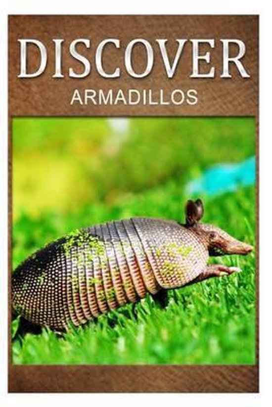 Armadillos - Discover - cover