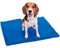 Koelmat Voor Honden - 65x50 cm - Blauw