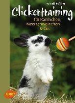 Clickertraining für Kaninchen, Meerschweinchen & Co.