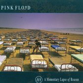 Momentary Lapse of Reason