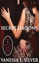 Secret Liaisons Part 3 - 5 Super Hot Erotic Short Stories
