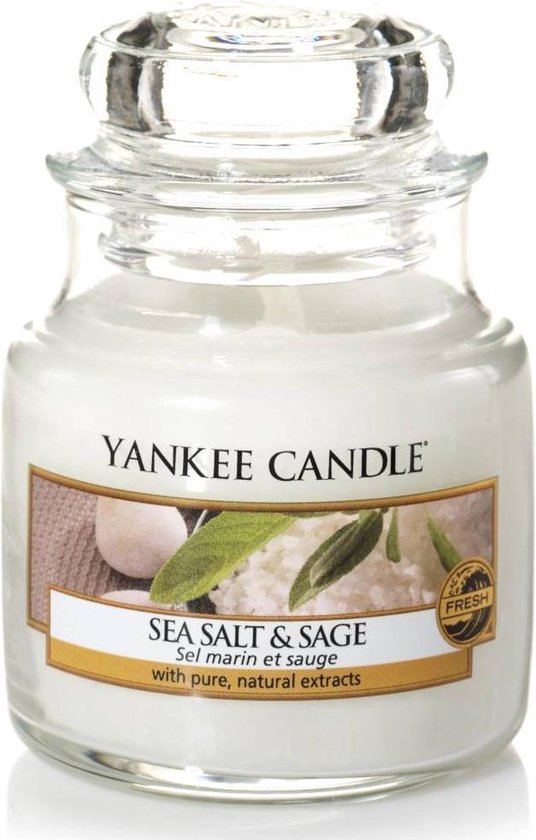 YANKEE CANDLE sea salt&sage