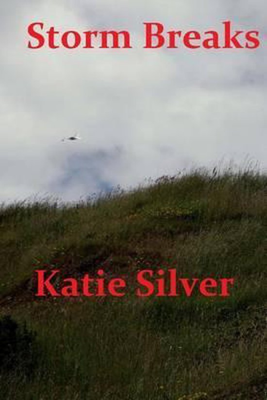 Storm Breaks, Katie Silver 9781515123507 Boeken