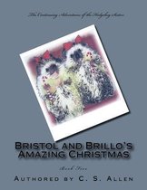 Bristol and Brillo's Amazing Christmas