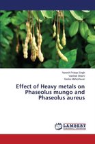 Effect of Heavy metals on Phaseolus mungo and Phaseolus aureus